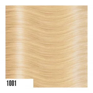 Color 1001 de extensiones de pelo natural